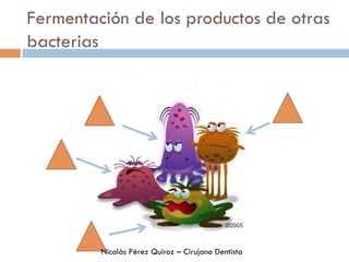Fermentación de los productos de otras
bacterias
Nicolás Pérez Quiroz – Cirujano Dentista
 