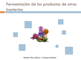 Fermentación de los productos de otras
bacterias
Nicolás Pérez Quiroz – Cirujano Dentista
 