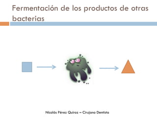 Fermentación de los productos de otras
bacterias
Nicolás Pérez Quiroz – Cirujano Dentista
 