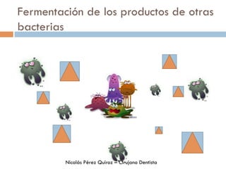 Fermentación de los productos de otras
bacterias
Nicolás Pérez Quiroz – Cirujano Dentista
 