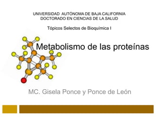 IVERSIDAD AUTÓNOMA DE BAJA CALIFORNIA
CUERPO ACADÉMICO: SALUD COMUNITARIA
Metabolismo de las proteínas
MC. Gisela Ponce y Ponce de León
UNIVERSIDAD AUTÓNOMA DE BAJA CALIFORNIA
DOCTORADO EN CIENCIAS DE LA SALUD
Tópicos Selectos de Bioquímica I
 