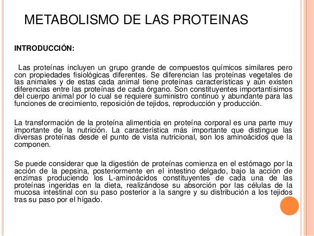 Un curso corto en calorias metabolismo basal