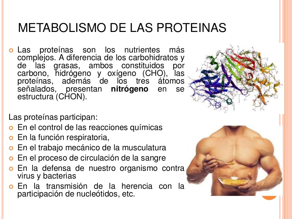 Metabolismo de las proteinas