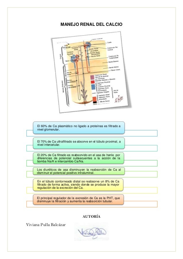 metabolismo basal calculo online en el cuerpo humano
