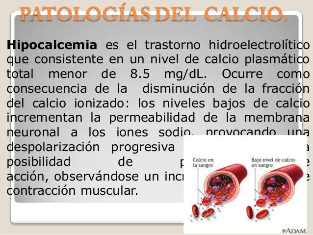 Crema para atp metabolismo