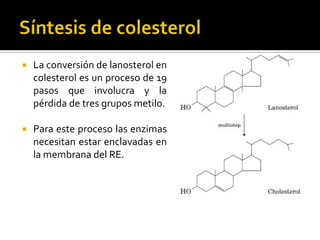  La conversión de lanosterol en
colesterol es un proceso de 19
pasos que involucra y la
pérdida de tres grupos metilo.
 Para este proceso las enzimas
necesitan estar enclavadas en
la membrana del RE.
 