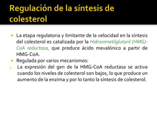  La etapa regulatoria y limitante de la velocidad en la síntesis
del colesterol es catalizada por la Hidroximetilglutaril (HMG)-
CoA reductasa, que produce ácido mevalónico a partir de
HMG-CoA.
 Regulada por varios mecanismos:
1. La expresión del gen de la HMG-CoA reductasa se activa
cuando los niveles de colesterol son bajos, lo que produce un
aumento de la enzima y por lo tanto la síntesis de colesterol.
 