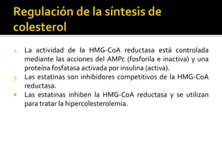 2. La actividad de la HMG-CoA reductasa está controlada
mediante las acciones del AMPc (fosforila e inactiva) y una
proteína fosfatasa activada por insulina (activa).
3. Las estatinas son inhibidores competitivos de la HMG-CoA
reductasa.
 Las estatinas inhiben la HMG-CoA reductasa y se utilizan
para tratar la hipercolesterolemia.
 