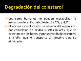  Los seres humanos no pueden metabolizar la
estructura del anillo del colesterol a CO2 y H2O.
 El núcleo esterol intacto se elimina del organismo
por conversión en ácidos y sales biliares, que se
excretan con las heces, y por secreción de colesterol
a la bilis, que lo transporta al intestino para su
eliminación.
 