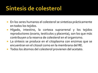  En los seres humanos el colesterol se sintetiza prácticamente
en todos los tejidos.
 Hígado, intestino, la corteza suprarrenal y los tejidos
reproductores (ovario, testículos y placenta), son los que más
contribuyen a la reserva de colesterol en el organismo.
 La síntesis se produce en el citoplasma con enzimas que se
encuentran en el citosol como en la membrana del RE.
 Todos los átomos del colesterol provienen del acetato.
 