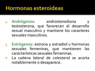 4. Andrógenos: androstenediona y
testosterona, que favorecen el desarrollo
sexual masculino y mantiene los caracteres
sexuales masculinos.
5. Estrógenos: estrona y estradiol u hormonas
sexuales femeninas, que mantienen las
características sexuales femeninas.
 La cadena lateral de colesterol se acorta
notablemente o desaparece.
 