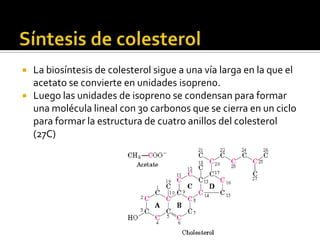  La biosíntesis de colesterol sigue a una vía larga en la que el
acetato se convierte en unidades isopreno.
 Luego las unidades de isopreno se condensan para formar
una molécula lineal con 30 carbonos que se cierra en un ciclo
para formar la estructura de cuatro anillos del colesterol
(27C)
 