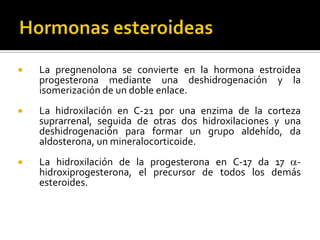  La pregnenolona se convierte en la hormona estroidea
progesterona mediante una deshidrogenación y la
isomerización de un doble enlace.
 La hidroxilación en C-21 por una enzima de la corteza
suprarrenal, seguida de otras dos hidroxilaciones y una
deshidrogenación para formar un grupo aldehído, da
aldosterona, un mineralocorticoide.
 La hidroxilación de la progesterona en C-17 da 17 a-
hidroxiprogesterona, el precursor de todos los demás
esteroides.
 