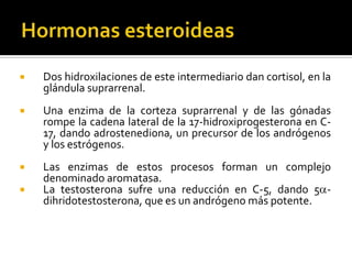  Dos hidroxilaciones de este intermediario dan cortisol, en la
glándula suprarrenal.
 Una enzima de la corteza suprarrenal y de las gónadas
rompe la cadena lateral de la 17-hidroxiprogesterona en C-
17, dando adrostenediona, un precursor de los andrógenos
y los estrógenos.
 Las enzimas de estos procesos forman un complejo
denominado aromatasa.
 La testosterona sufre una reducción en C-5, dando 5a-
dihridotestosterona, que es un andrógeno más potente.
 