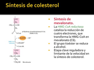  Síntesis de
mevalonato.
 La HMG-CoA reductasa
cataliza la reducción de
cuatro electrones, que
transforma la HMG-CoA en
mevalonato (C6).
 El grupo tioéster se reduce
a alcohol.
 Etapa clave reguladora y
limitante de la velocidad en
la síntesis de colesterol.
 