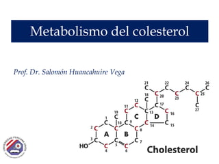Metabolismo del colesterol
Prof. Dr. Salomón Huancahuire Vega
 