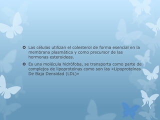  Las células utilizan el colesterol de forma esencial en la
membrana plasmática y como precursor de las
hormonas esteroideas.
 Es una molécula hidrófoba, se transporta como parte de
complejos de lipoproteínas como son las «Lipoproteínas
De Baja Densidad (LDL)»
 