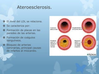 Ateroesclerosis.
 El nivel del LDL se relaciona.
 Se caracteriza por:
 Formación de placas en las
paredes de las arterias.
 Formación de coágulos
sanguíneos.
 Bloqueo de arterias
coronarias, principal causas
de infartos al miocardio.
 