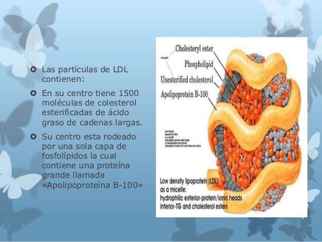 Más sobre porciones de alimentos para bajar de peso