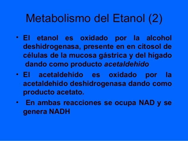 Más en calcular metabolismo basal hombre