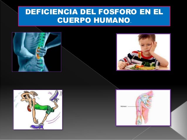 La información encima de como ralentizar el metabolismo