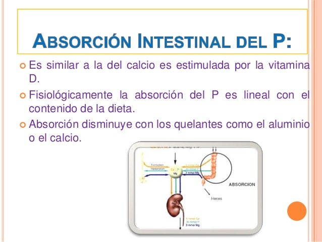 Como hackear definicion metabolismo basal