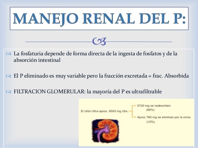Albert Einstein en las recetas de la dieta del metabolismo acelerado