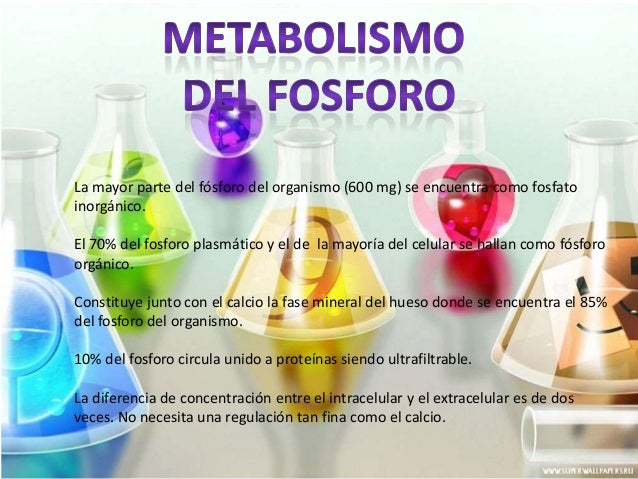 dieta acelerar metabolismo hombre