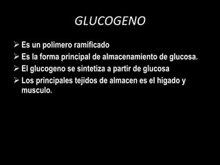 GLUCOGENO Es un polimero ramificado Es la forma principal de almacenamiento de glucosa. El glucogeno se sintetiza a partir de glucosa  Los principales tejidos de almacen es el higado y musculo. 