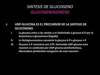 SINTESIS DE GLUCOGENO GLUCOGENOGENESIS UDP-GLUCOSA ES EL PRECURSOR DE LA SINTESIS DE GLUCOGENO. La glucosa entra a las celulas y es fosforilada a glucosa-6-P por la hexocinasa o glucocinasa (higado) La fosfoglucomutasa convierte la glucosa 6-P a glucosa-1-P Glucosa-1-P reacciona con UTP, formando UDP-glucosa esta reaccion es catalizada por UDP-glucosa pirofosforilasa, liberandose pirofosfato inorganico de esta reaccion. 