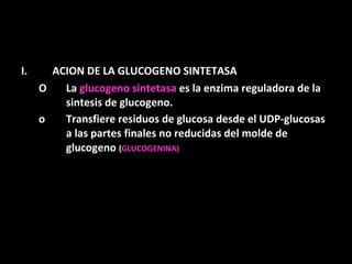 ACION DE LA GLUCOGENO SINTETASA La  glucogeno sintetasa  es la enzima reguladora de la sintesis de glucogeno. Transfiere residuos de glucosa desde el UDP-glucosas a las partes finales no reducidas del molde de glucogeno  ( GLUCOGENINA) 