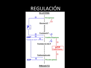 REGULACIÓN 