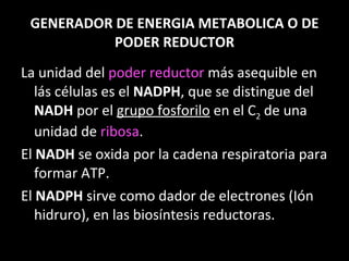 GENERADOR DE ENERGIA METABOLICA O DE PODER REDUCTOR La unidad del  poder reductor  más asequible en lás células es el  NADPH , que se distingue del  NADH  por el  grupo fosforilo  en el C 2  de una unidad de  ribosa . El  NADH  se oxida por la cadena respiratoria para formar ATP. El  NADPH  sirve como dador de electrones (Ión hidruro), en las biosíntesis reductoras. 
