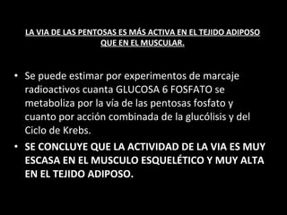 LA VIA DE LAS PENTOSAS ES MÁS ACTIVA EN EL TEJIDO ADIPOSO QUE EN EL MUSCULAR. Se puede estimar por experimentos de marcaje radioactivos cuanta GLUCOSA 6 FOSFATO se metaboliza por la vía de las pentosas fosfato y cuanto por acción combinada de la glucólisis y del Ciclo de Krebs. SE CONCLUYE QUE LA ACTIVIDAD DE LA VIA ES MUY ESCASA EN EL MUSCULO ESQUELÉTICO Y MUY ALTA EN EL TEJIDO ADIPOSO. 