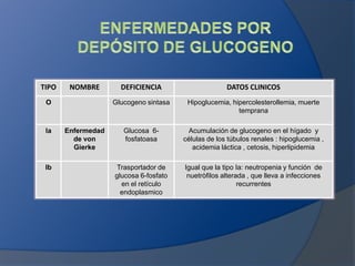 TIPO

NOMBRE

la

Ib

Enfermedad
de von
Gierke

DATOS CLINICOS

Glucogeno sintasa

O

DEFICIENCIA

Hipoglucemia, hipercolesterollemia, muerte
temprana

Glucosa 6fosfatoasa

Acumulación de glucogeno en el hígado y
células de los túbulos renales : hipoglucemia ,
acidemia láctica , cetosis, hiperlipidemia

Trasportador de
glucosa 6-fosfato
en el retículo
endoplasmico

Igual que la tipo Ia: neutropenia y función de
nuetròfilos alterada , que lleva a infecciones
recurrentes

 