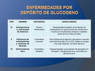 TIPO

NOMBRE

DEFICIENCIA

DATOS CLINICOS

IV

Amilopectinosi
s, enfermedad
de Anderson

Enzima
ramificadora

Hepatoesplenomegalia: acumulación de
polisacárido con pocos puntos de ramificación ,
muerte por insuficiencia cardiaca o hepática
antes de los 5 años de edad

V

Deficiencia de
mielofosforilas
a, síndrome de
McArdle

Fosforilasa
muscular

Poca tolerancia al ejercicio; glucogeno muscular
anormalmente alto (2,5 a 4%); lactato en sangre
muy bajo después de hacer ejercicio

VI

Enfermedad de
Hers

Fosforilasa
hepática

Hepatomegalias: acumulación de glucogeno en
el hígado, hipoglucemia leve, pronostico en
general bueno

 