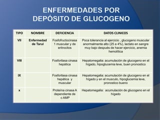 TIPO

NOMBRE

DEFICIENCIA

DATOS CLINICOS

VII

Enfermedad
de Tarul

Fosfofructocinasa
1 muscular y de
eritrocitos

Poca tolerancia al ejercicio , glucogeno muscular
anormalmente alto (25 a 4%), lactato en sangre
muy bajo después de hacer ejercicio, anemia
hemolítica

VIII

Fosforilasa cinasa
hepática

Hepatomegalia: acumulación de glucogeno en el
hígado, hipoglucemia leve, buen pronostico

IX

Fosforilasa cinasa
hepática y
muscular

Hepatomegalia: acumulación de glucogeno en el
hígado y en el musculo, hipoglucemia leve,
pronostico bueno

x

Proteína cinasa A
dependiente de
c AMP

Hepatomegalia: acumulación de glucogeno en el
hígado

 