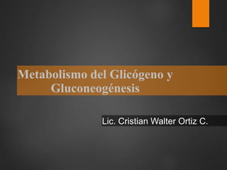 Metabolismo del Glicógeno y
Gluconeogénesis
Lic. Cristian Walter Ortiz C.
 