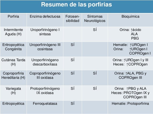 funciones del metabolismo hoja cheet