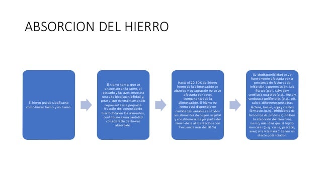 La información encima de dieta metabolismo acelerado libro