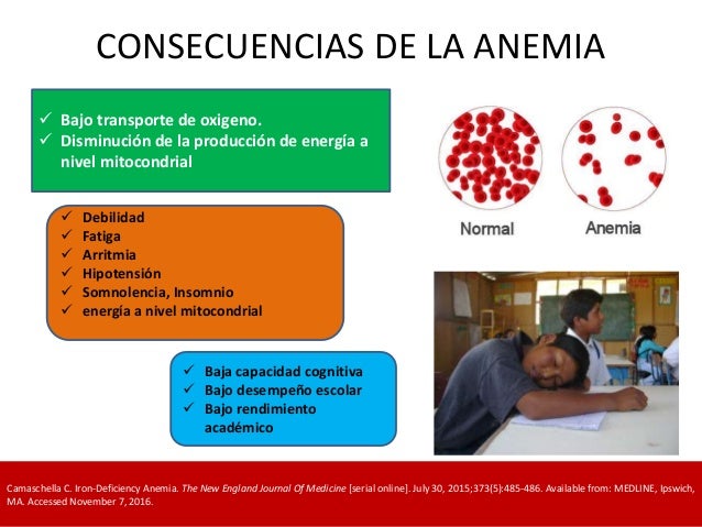 ANEMIA Y METABOLISMO DEL HIERRO - NUTRIHEM