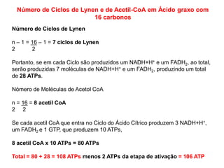 Número de Ciclos de Lynen e de Acetil-CoA em Ácido graxo com
16 carbonos
Número de Ciclos de Lynen
n – 1 = 16 – 1 = 7 ciclos de Lynen
2 2
Portanto, se em cada Ciclo são produzidos um NADH+H+ e um FADH2, ao total,
serão produzidas 7 moléculas de NADH+H+ e um FADH2, produzindo um total
de 28 ATPs.
Nómero de Moléculas de Acetol CoA
n = 16 = 8 acetil CoA
2 2
Se cada acetil CoA que entra no Ciclo do Ácido Cítrico produzem 3 NADH+H+,
um FADH2 e 1 GTP, que produzem 10 ATPs,
8 acetil CoA x 10 ATPs = 80 ATPs
Total = 80 + 28 = 108 ATPs menos 2 ATPs da etapa de ativação = 106 ATP
 