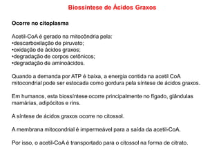 Biossíntese de Ácidos Graxos
Ocorre no citoplasma
Acetil-CoA é gerado na mitocôndria pela:
•descarboxilação de piruvato;
•oxidação de ácidos graxos;
•degradação de corpos cetônicos;
•degradação de aminoácidos.
Quando a demanda por ATP é baixa, a energia contida na acetil CoA
mitocondrial pode ser estocada como gordura pela síntese de ácidos graxos.
Em humanos, esta biossíntese ocorre principalmente no fígado, glândulas
mamárias, adipócitos e rins.
A síntese de ácidos graxos ocorre no citossol.
A membrana mitocondrial é impermeável para a saída da acetil-CoA.
Por isso, o acetil-CoA é transportado para o citossol na forma de citrato.
 