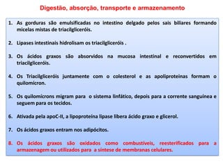 Digestão, absorção, transporte e armazenamento
1. As gorduras são emulsificadas no intestino delgado pelos sais biliares formando
micelas mistas de triacilgliceróis.
2. Lipases intestinais hidrolisam os triacilgliceróis .
3. Os ácidos graxos são absorvidos na mucosa intestinal e reconvertidos em
triacilgliceróis.
4. Os Triacilgliceróis juntamente com o colesterol e as apoliproteinas formam o
quilomícron.
5. Os quilomícrons migram para o sistema linfático, depois para a corrente sanguínea e
seguem para os tecidos.
6. Ativada pela apoC-II, a lipoproteína lipase libera ácido graxo e glicerol.
7. Os ácidos graxos entram nos adipócitos.
8. Os ácidos graxos são oxidados como combustíveis, reesterificados para a
armazenagem ou utilizados para a síntese de membranas celulares.
 