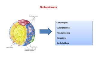 Quilomícrons
Composição:
•Apoliproteínas
•Triacilgliceróis
•Colesterol
•Fosfolipídeos
 