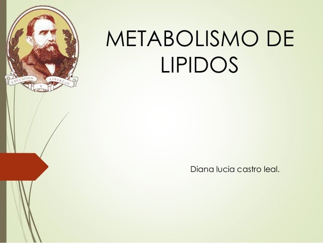 Similar a metabolismo microbiano
