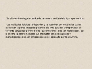 *En el intestino delgado es donde termina la acción de la lipasa pancreática.
*Las moléculas lipídicas se degradan y se absorben por micelas las cuales
atraviesan la pared intestinal pasando a la linfa para ser transportadas al
torrente sanguíneo por medio de “quilomicrones” que son hidrolizados por
la enzima lipoproteína lipasa sus productos son ácidos grasos y
monoglicéridos que son almacenados en el adiposito por la albumina.
 