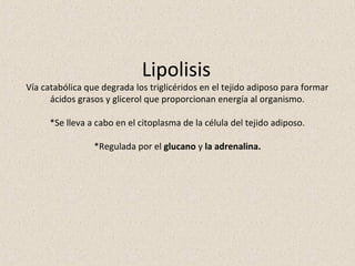 Lipolisis
Vía catabólica que degrada los triglicéridos en el tejido adiposo para formar
ácidos grasos y glicerol que proporcionan energía al organismo.
*Se lleva a cabo en el citoplasma de la célula del tejido adiposo.
*Regulada por el glucano y la adrenalina.
 
