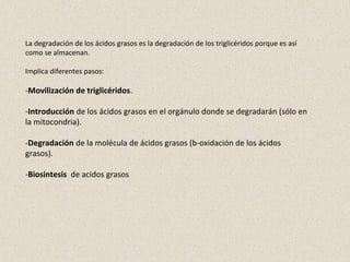 La degradación de los ácidos grasos es la degradación de los triglicéridos porque es así
como se almacenan.
Implica diferentes pasos:
-Movilización de triglicéridos.
-Introducción de los ácidos grasos en el orgánulo donde se degradarán (sólo en
la mitocondria).
-Degradación de la molécula de ácidos grasos (b-oxidación de los ácidos
grasos).
-Biosintesis de acidos grasos
 