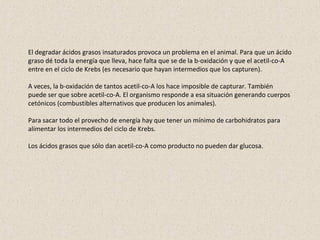 El degradar ácidos grasos insaturados provoca un problema en el animal. Para que un ácido
graso dé toda la energía que lleva, hace falta que se de la b-oxidación y que el acetil-co-A
entre en el ciclo de Krebs (es necesario que hayan intermedios que los capturen).
A veces, la b-oxidación de tantos acetil-co-A los hace imposible de capturar. También
puede ser que sobre acetil-co-A. El organismo responde a esa situación generando cuerpos
cetónicos (combustibles alternativos que producen los animales).
Para sacar todo el provecho de energía hay que tener un mínimo de carbohidratos para
alimentar los intermedios del ciclo de Krebs.
Los ácidos grasos que sólo dan acetil-co-A como producto no pueden dar glucosa.
 